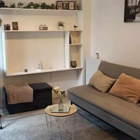 Studio Fonctionnel Et Cosy