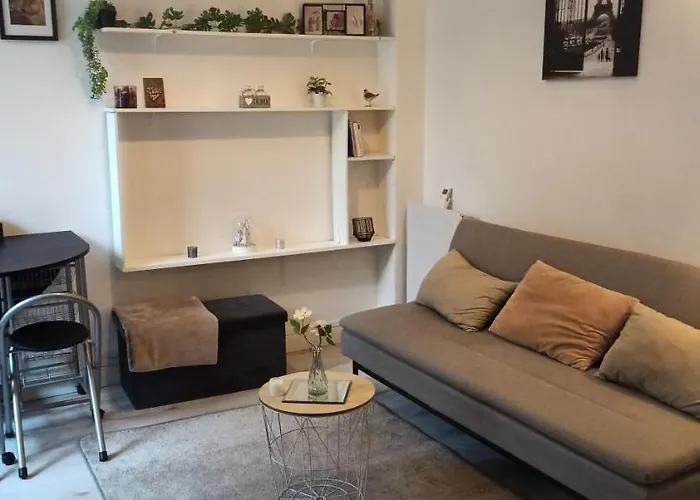 Studio Fonctionnel Et Cosy
